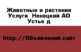 Животные и растения Услуги. Ненецкий АО,Устье д.